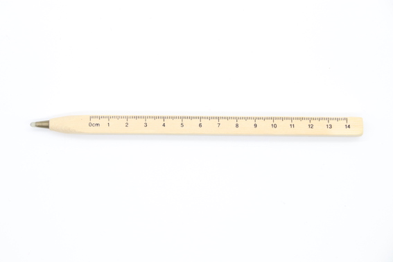 PN1071 Wooden Ball Pen With ruler scale