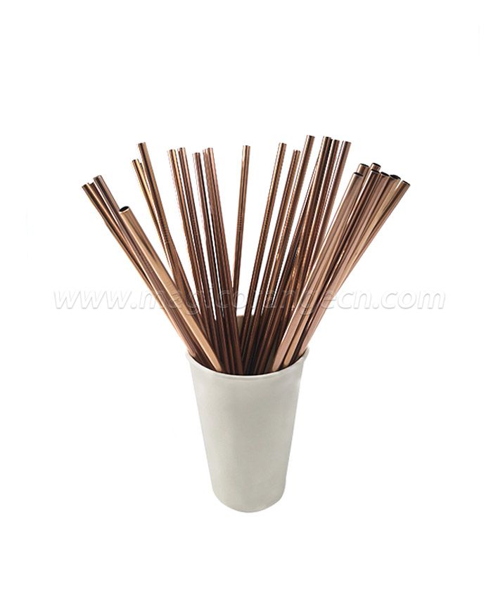 Stainless Steel Straws MOT1022