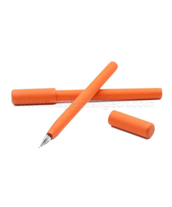 PN1069 Color Water Pen