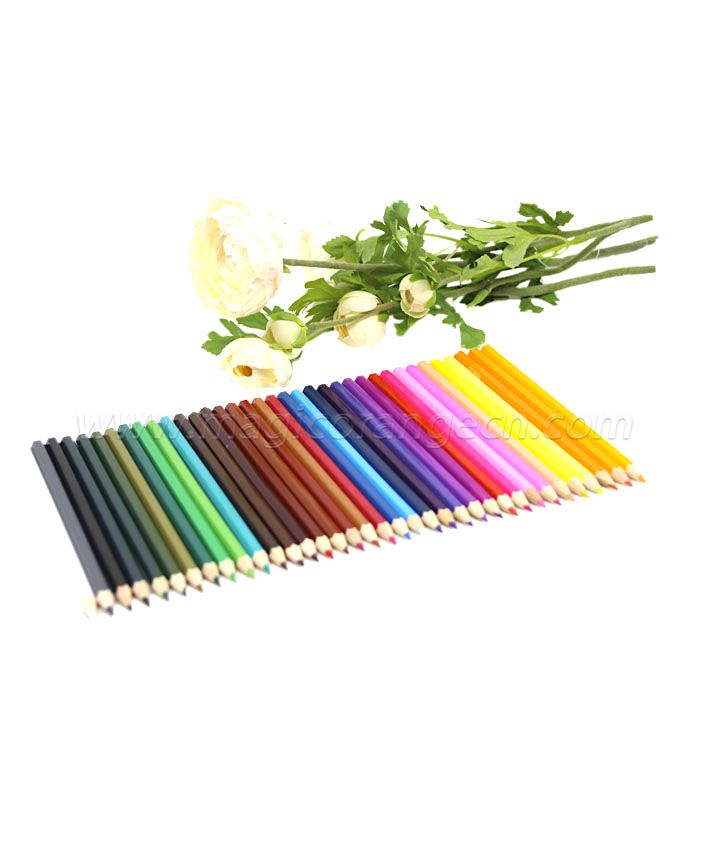 PN1061 Colour Pencil