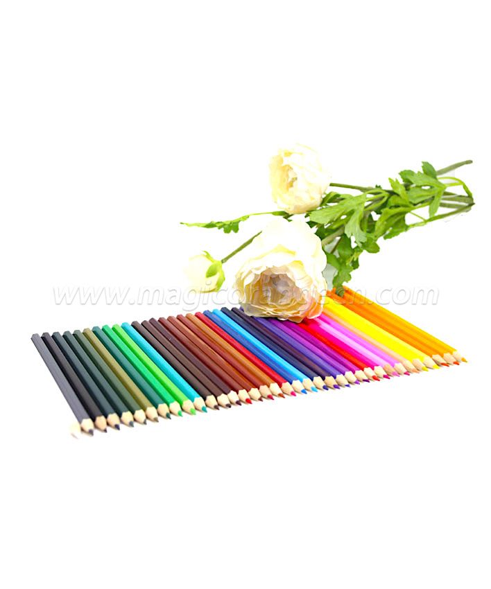 PN1061 Colour Pencil