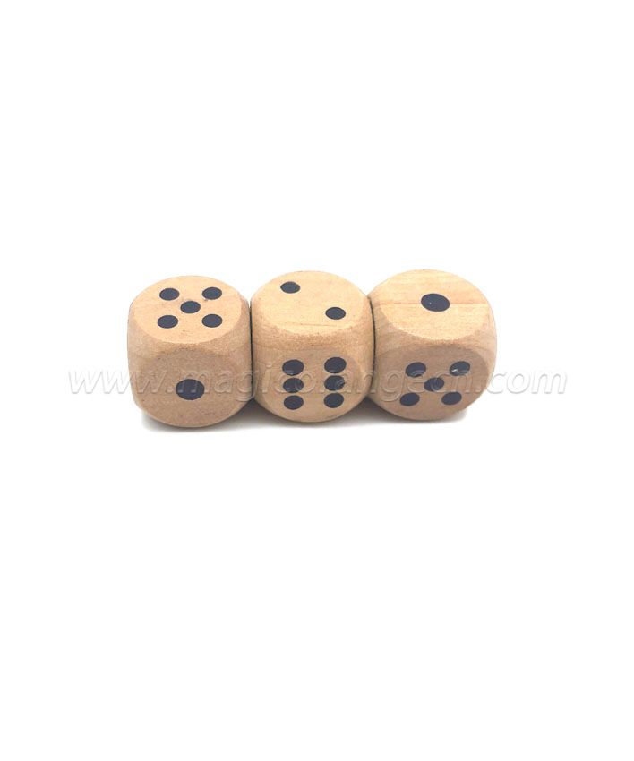 TL1011 Wooden Dice USB