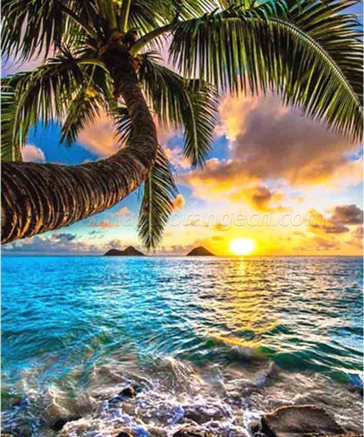 CTY101211 Coconut tree Beach View DIY 5D Diamond Painting Kits for Adults Rhinestone Gem Art Painting Full Drill Round Diamond, Perfect for Home Wall Decorate